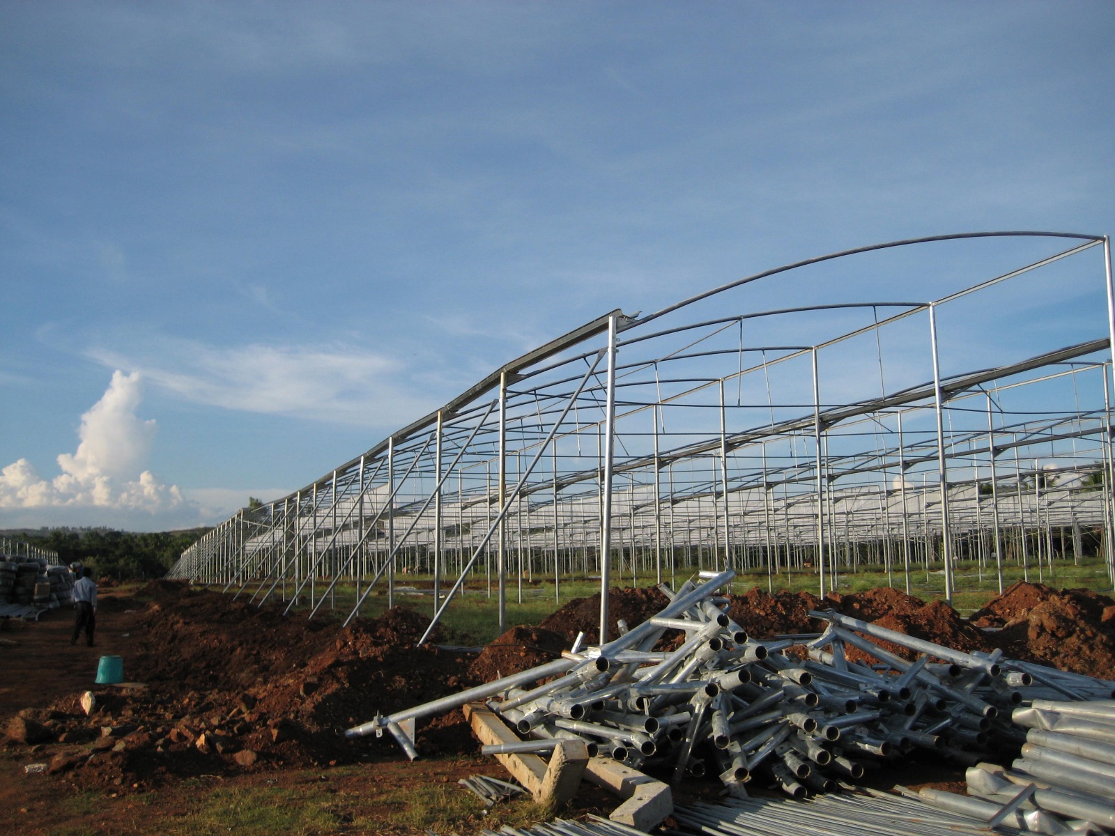 Greenhouse Project 34